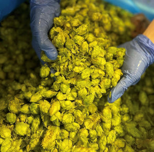 You know, goodbyes aren't forever..